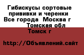 Гибискусы сортовые, прививки и черенки - Все города, Москва г.  »    . Томская обл.,Томск г.